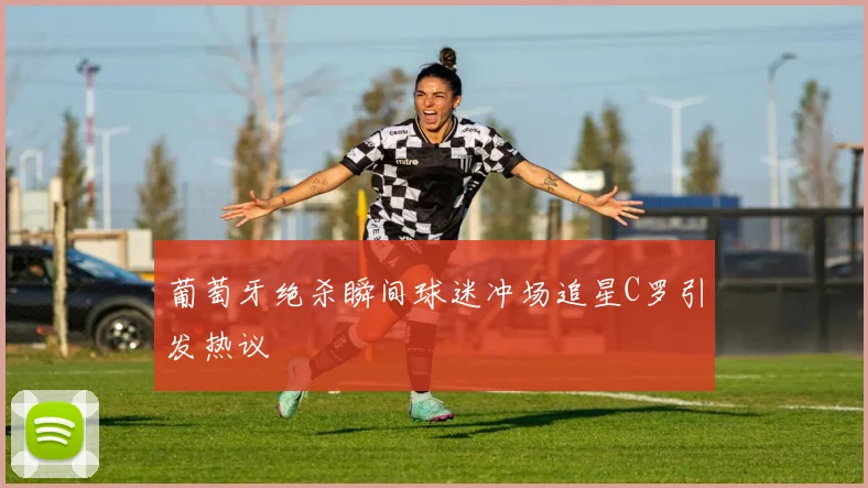 葡萄牙绝杀瞬间球迷冲场追星C罗引发热议